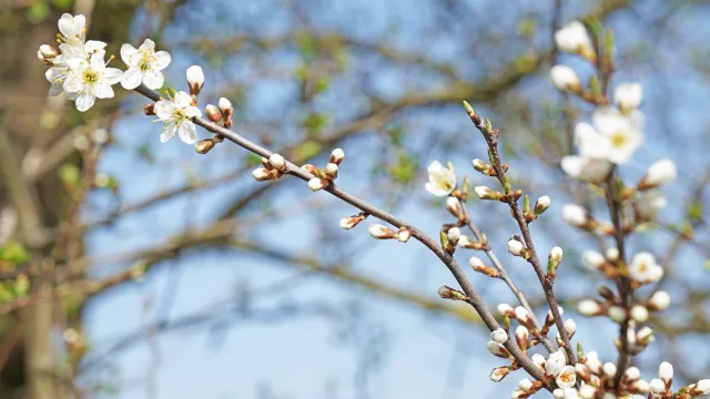Ostern (Foto: AS) Ostern (Foto: AS)