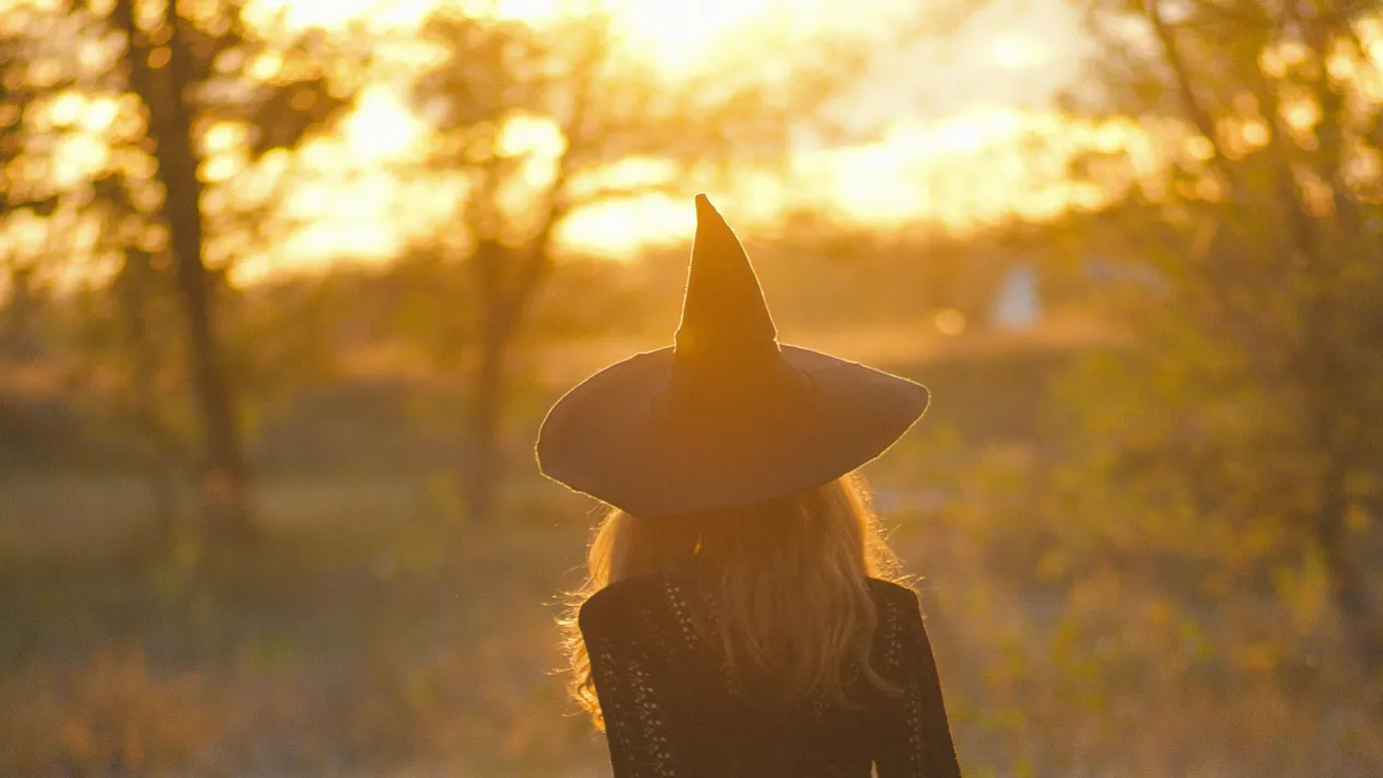Wahlkurs Wicked (Foto: pexels) Wahlkurs Wicked (Foto: pexels)